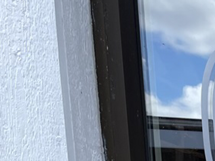 Det är kö ut på gatan till de italienska delikatesserna.