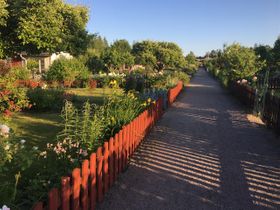 Genom små idyller - Emmalunds koloniområde
