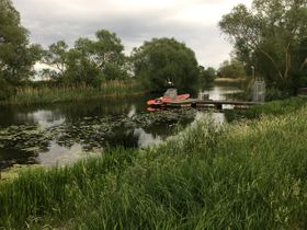 Får en känsla av krokodilspotting