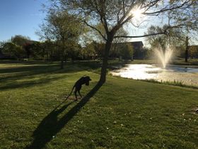 Universitetsparken