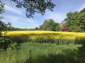 Dofter och färger