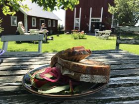 Min macka med färskost och vildsvin
