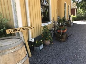 Odensvi