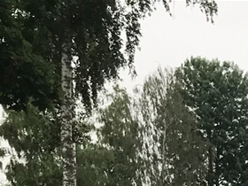 Blankaholm