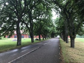 Figeholm