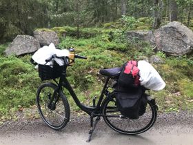 I skogen