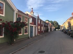 Mot kattrumpan