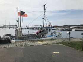 Hälleviks hamn