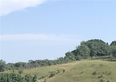 Landet Nangijala