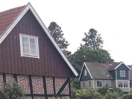 Fritiof Nilsson Piraten. På baksidan kan man se en liten figur. Enligt konstnären kom den till helt spontant och kan vara nån av poetens diktade figurer. Namnet Piraten kom till efter att han varit till sjöss ett år och kom hem och berättade om fantastiska saker som myteri och hur man rundat Cap Horn