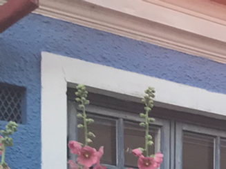 Och mycket blommor