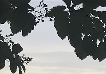 Mot Höllviken och Skanör