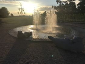 Falsterbo centrum