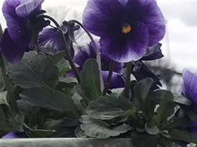 Lite välbehövlig fika