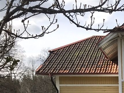 Hembygdsgården i Gusum
