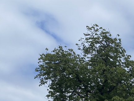 På väg ini Kristianstad vid arenan