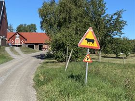 Grusvägen mot St Anna